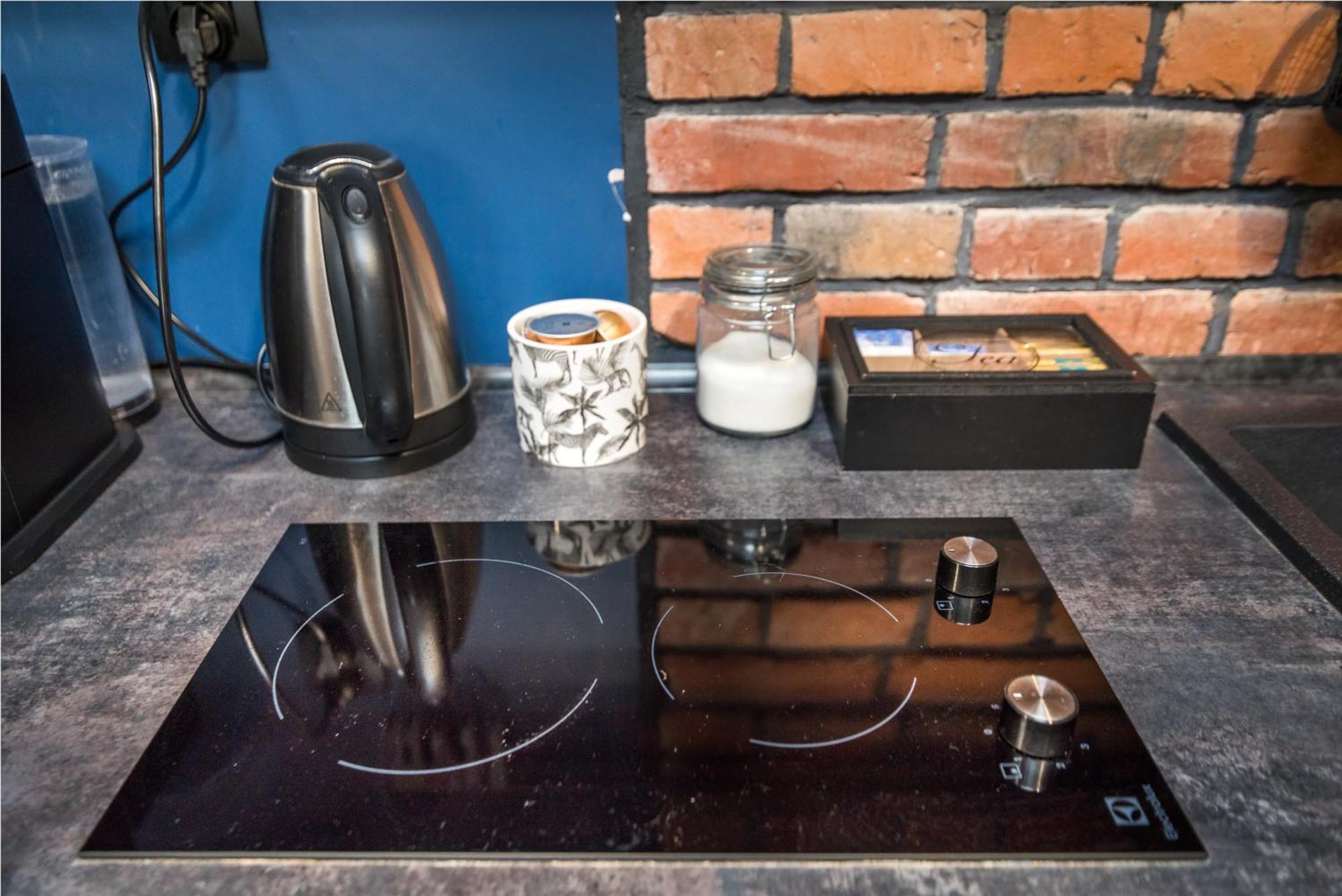 Uroczy Apartament 格利维采 外观 照片